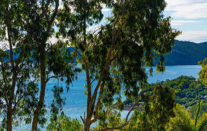 Sunset Waters Apartments Hamilton Island Exterior foto